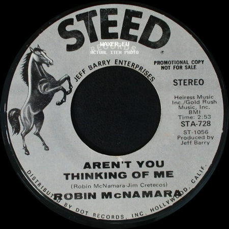 Robin Mcnamara / Robin Mcnamara (With The Cast Of 'hair') - Aren't You Thinking Of Me / Got To Believe In Love side A