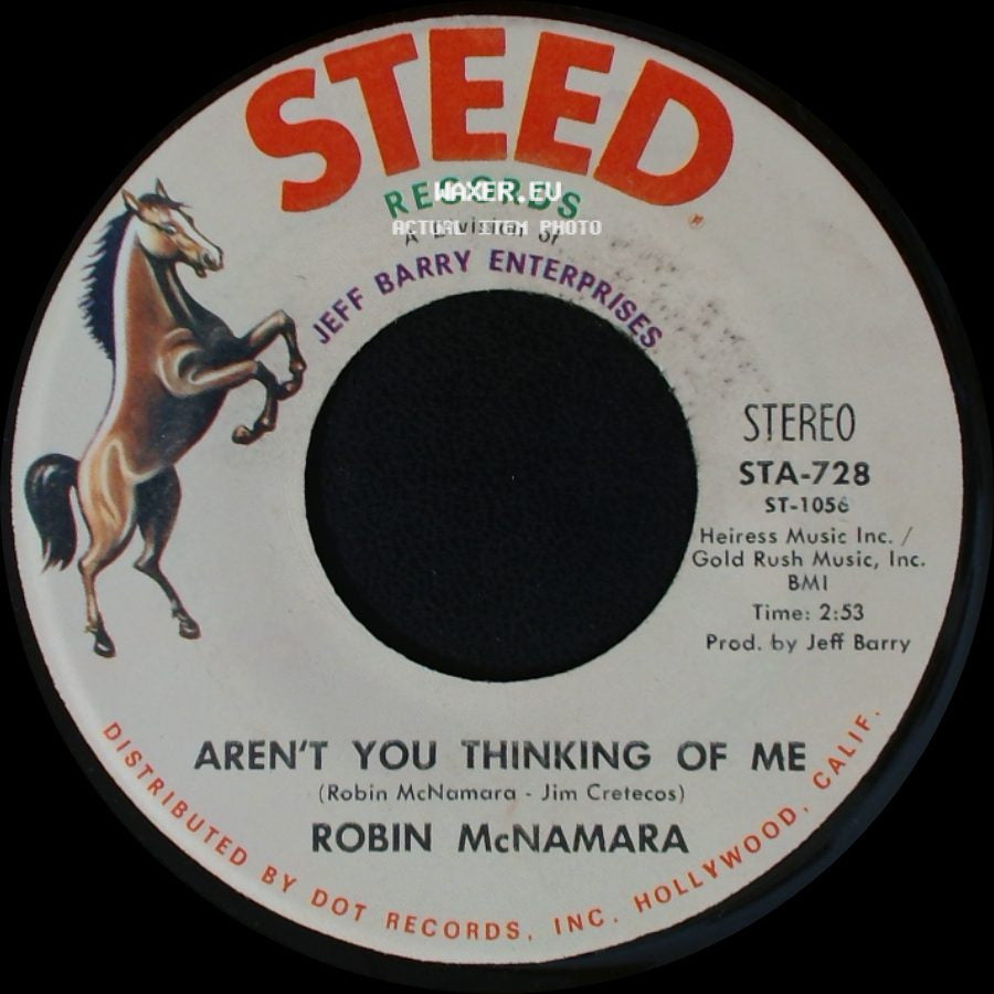 Robin Mcnamara (With The Cast Of "Hair") / Robin Mcnamara - Got To Believe In Love / Aren't You Thinking Of Me side B