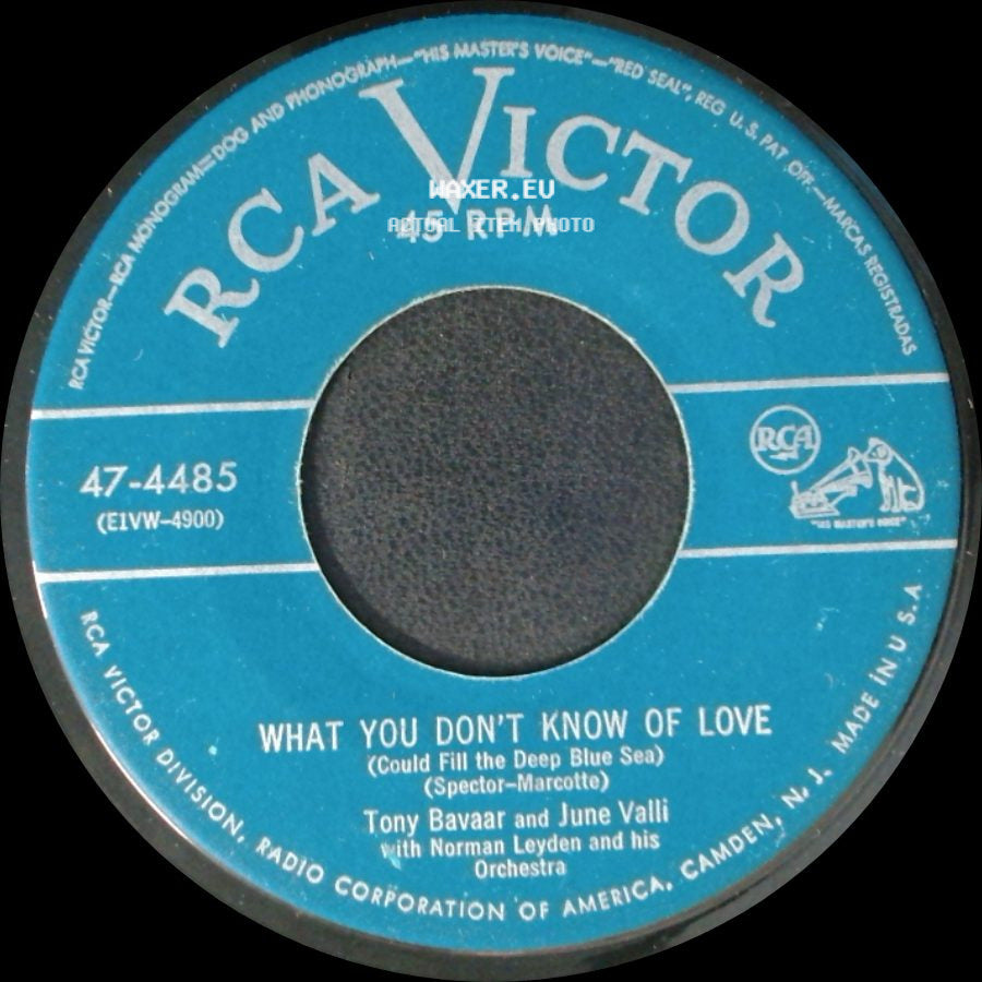Tony Bavaar And June Valli With Norman Leyden And His Orchestra / June Valli And Tony Bavaar - What You Don't Know Of Love (Could Fill The Deep Blue Sea) / It's Raining (Why Must It Keep On Raining) side A