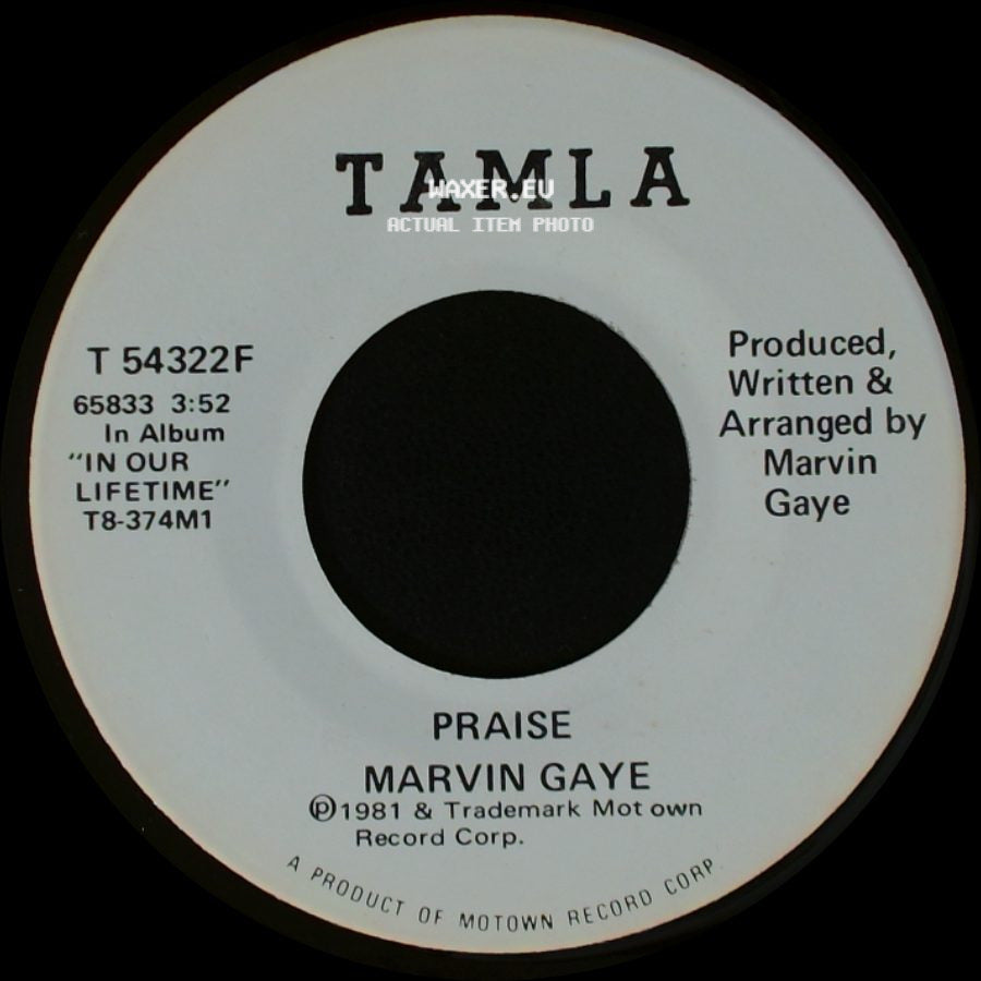 Marvin Gaye - Praise / Praise side B