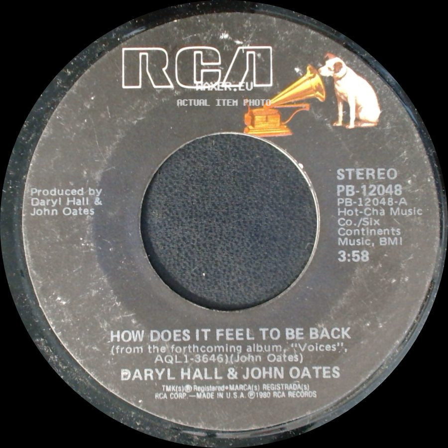 Daryl Hall & John Oates - United State / How Does It Feel To Be Back side B