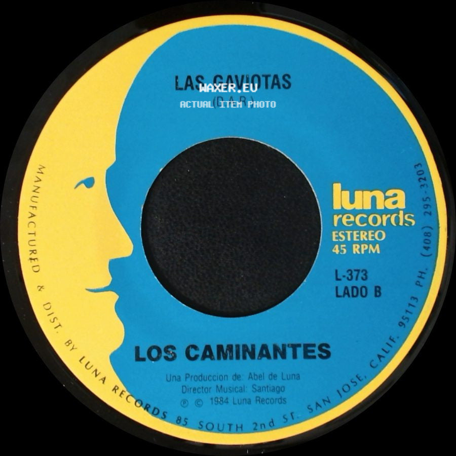Los Caminantes - Angel De La Mañana / Las Gaviotas side B