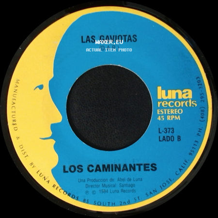 Los Caminantes - Angel De La Mañana / Las Gaviotas (D.A.R.) side B