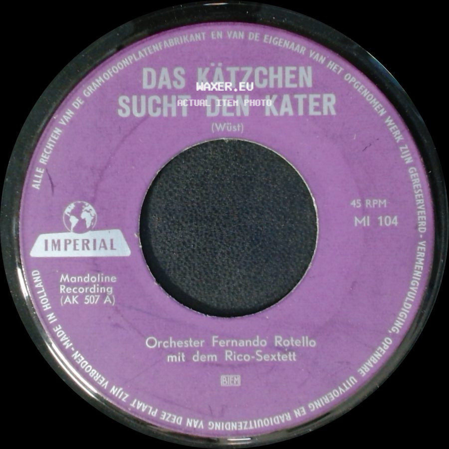 Orchester Fernando Rotello Mit Dem Rico-Sextett - Das Kätzchen Sucht Den Kater / Drei Tage War Der Papa Krank side A