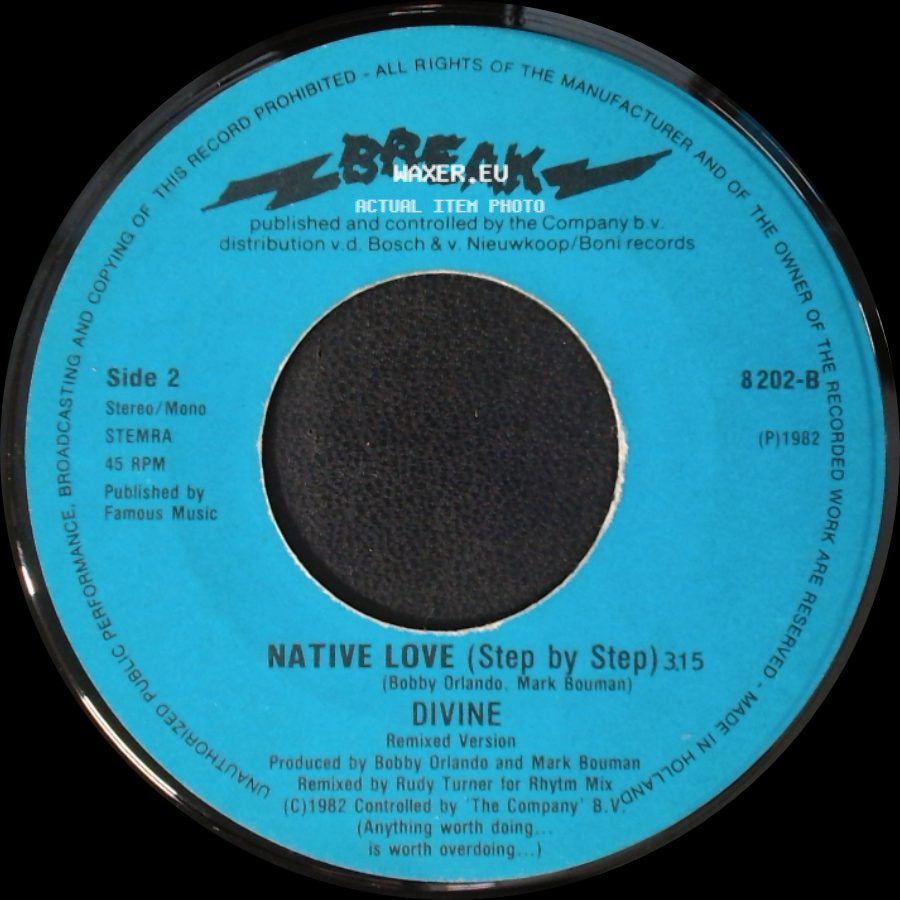 Divine - Native Love (Step By Step) / Native Love (Step By Step) side B