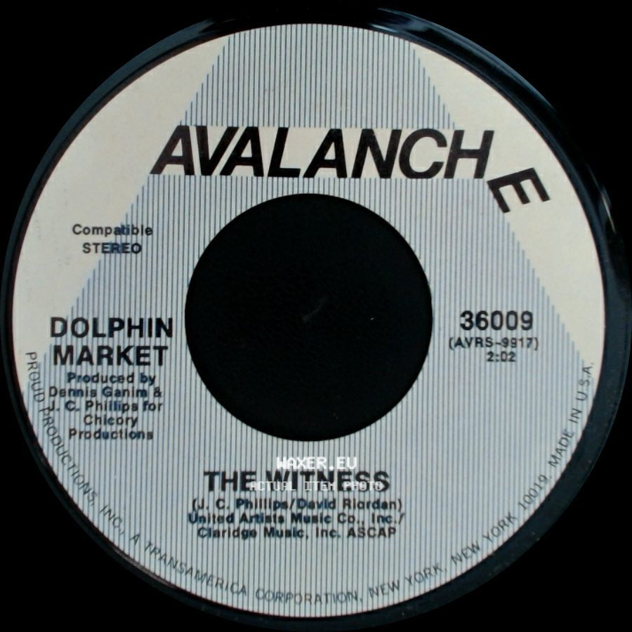 Dolphin Market - The Witness / Diego side A