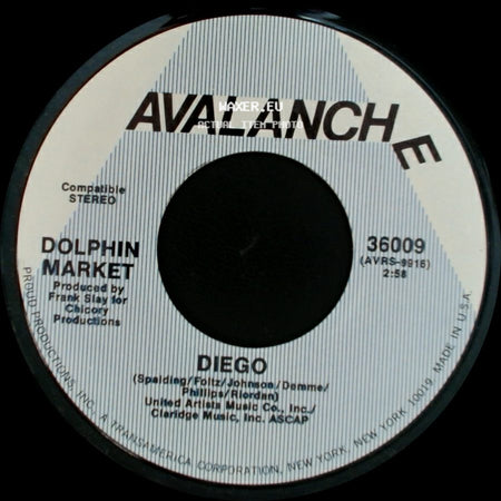 Dolphin Market - The Witness / Diego side B