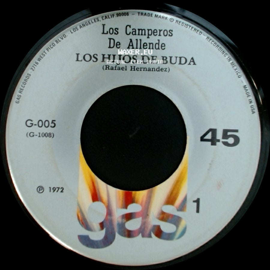 Los Camperos De Allende - Los Hijos De Buda / Cozumel side A