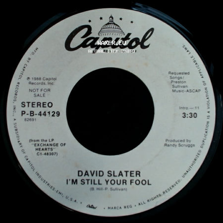 David Slater - I'm Still Your Fool / I'm Still Your Fool side B