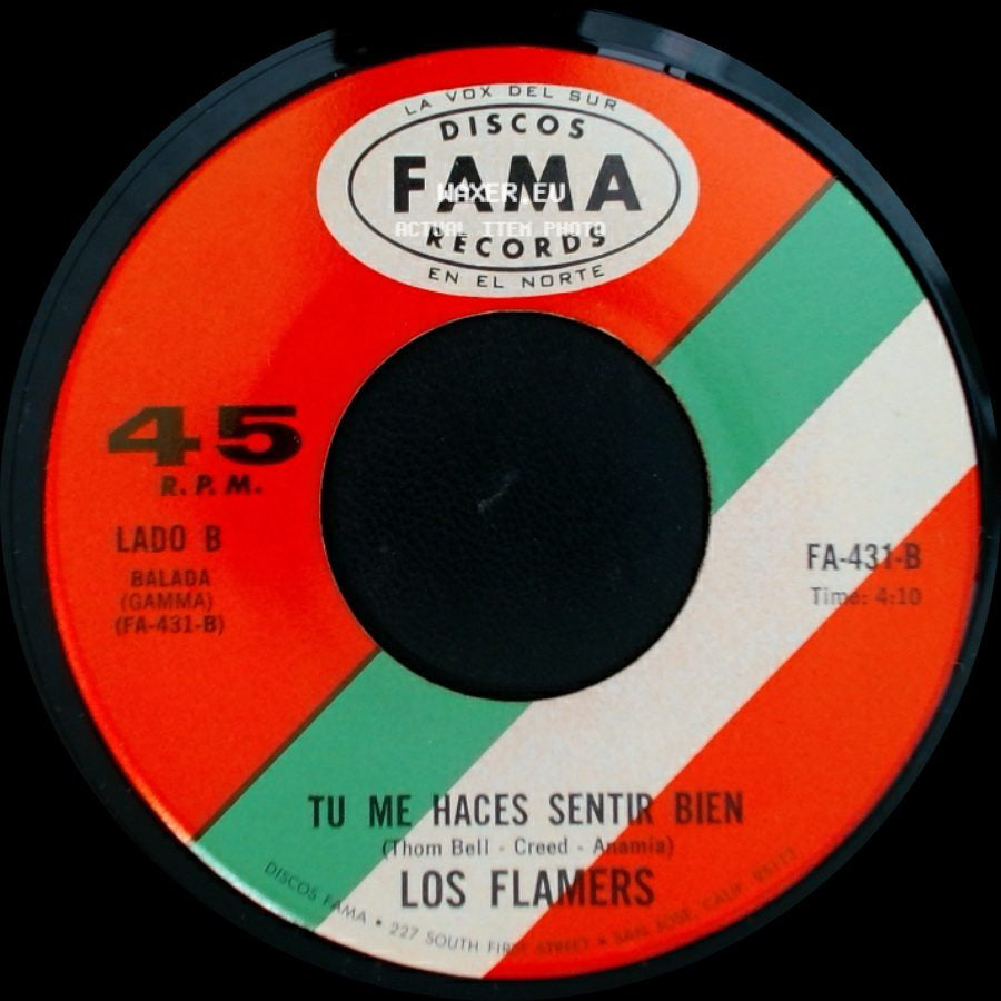 Los Flamers - Kung Fu Peleando / Tu Me Haces Sentir Bien side B
