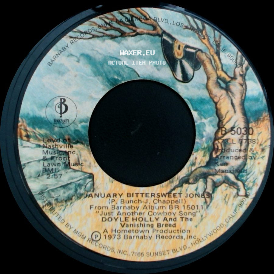 Doyle Holly And The Vanishing Breed - January Bittersweet Jones / How Long Has This Been Going On side A