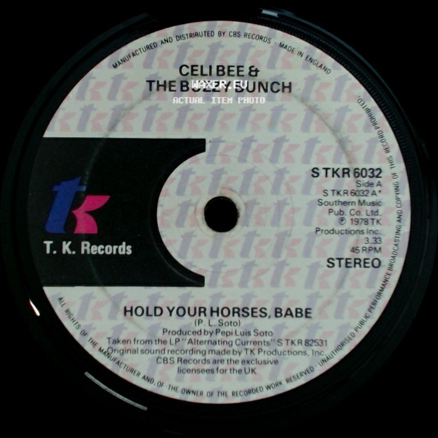 Celi Bee & The Buzzy Bunch - Hold Your Horses, Babe / Alternating Currents side A