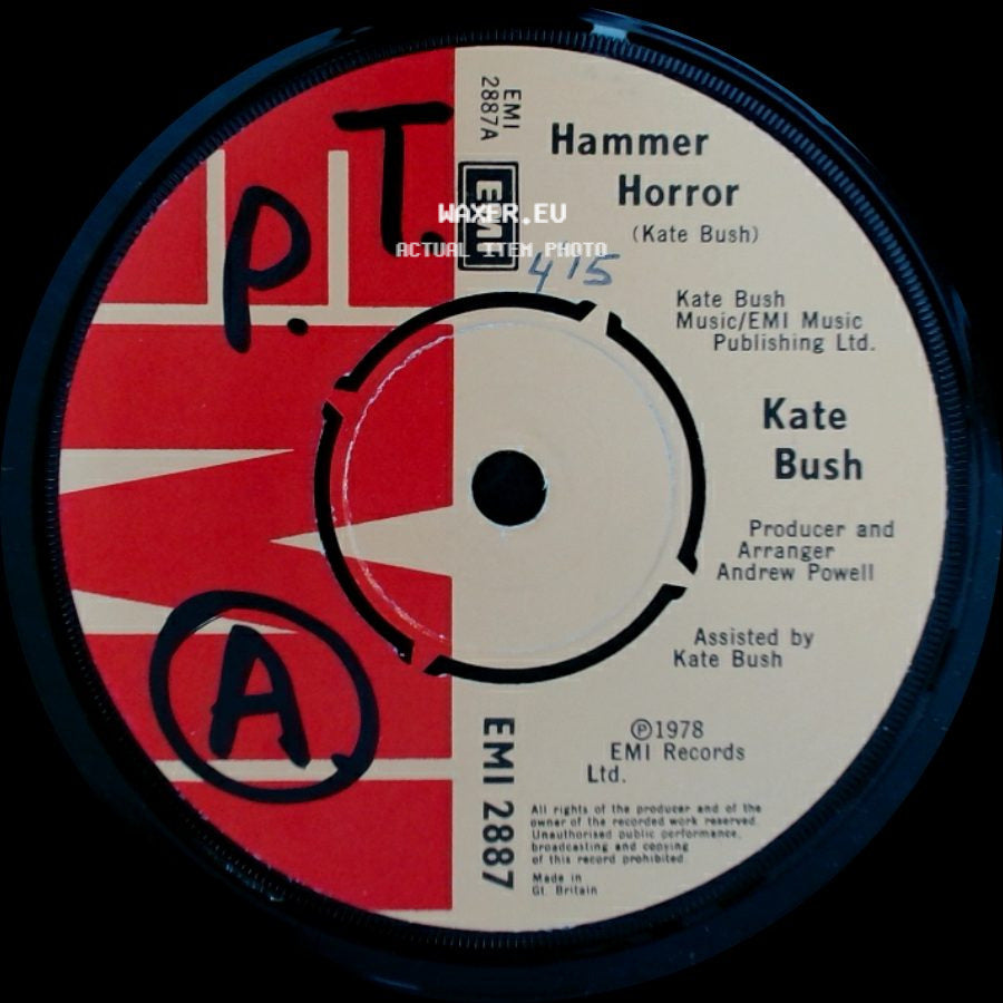 Kate Bush - Coffee Homeground / Hammer Horror side B