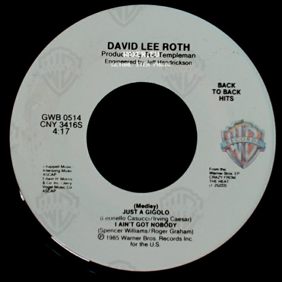 David Lee Roth - California Girls / (Medley) Just A Gigolo / I Ain't Got Nobody side B