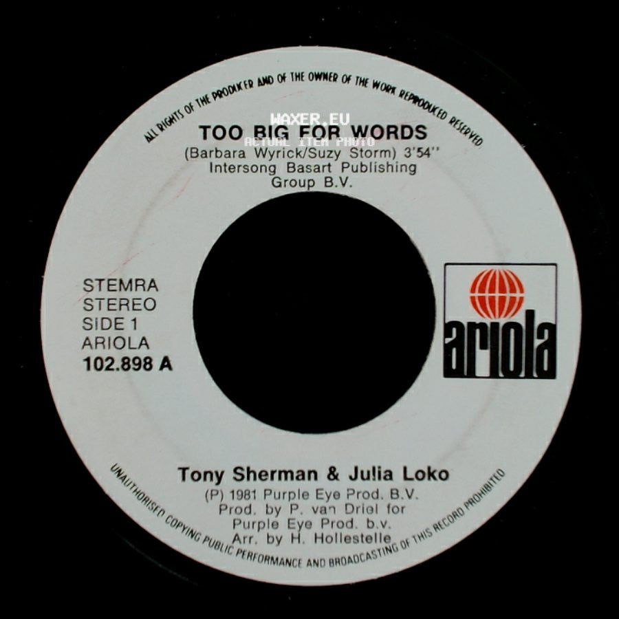 Tony Sherman & Julia Loko / Tony Sherman - Too Big For Words / Fantasy side A