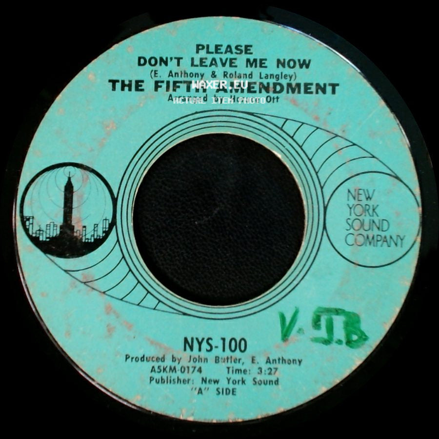 The Fifth Amendment - Please Don't Leave Me Now / Got You Where I Want You side A