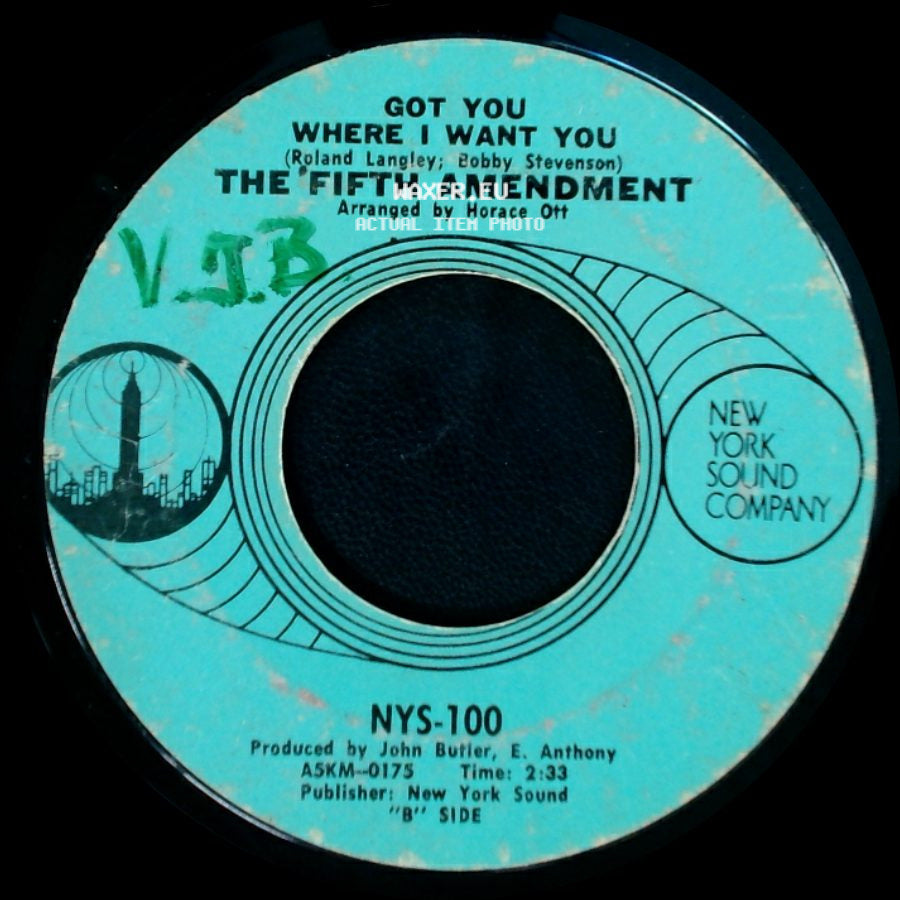 The Fifth Amendment - Please Don't Leave Me Now / Got You Where I Want You side B