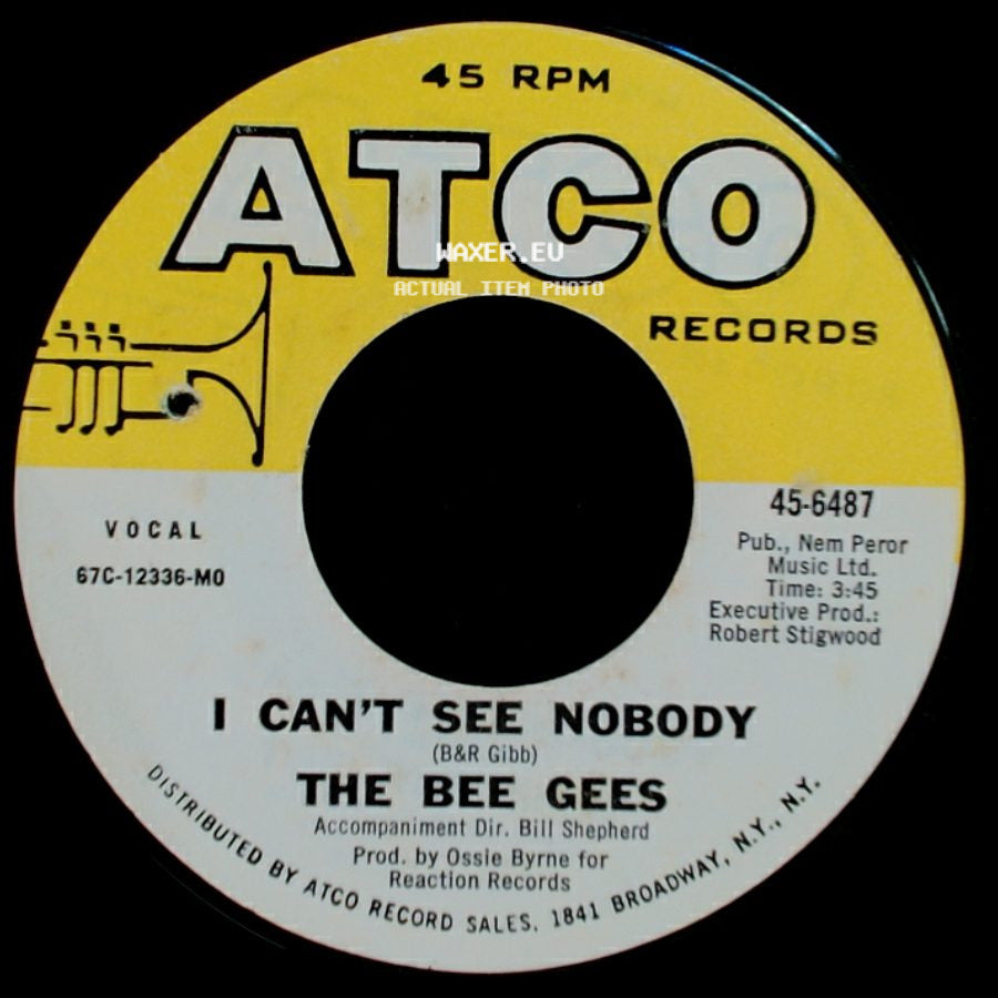The Bee Gees - New York Mining Disaster 1941 / I Can't See Nobody side B