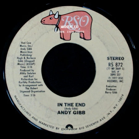 Andy Gibb - In The End / I Just Want To Be Your Everything side A