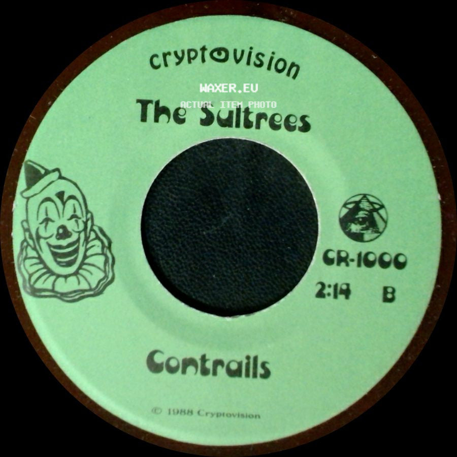 The Sultrees - Take Me As I Am / Contrails side B