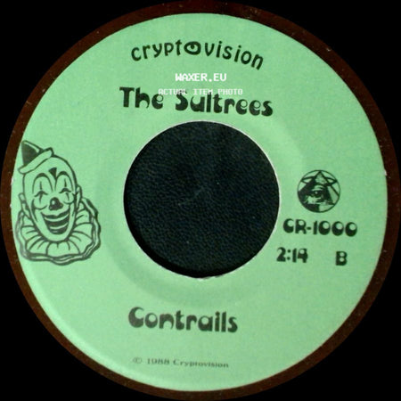 The Sultrees - Take Me As I Am / Contrails side B