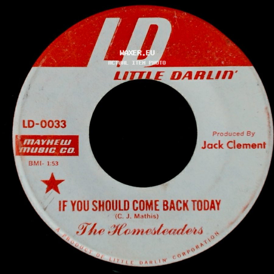The Homesteaders - If You Should Come Back Today / Homesteadin' side A