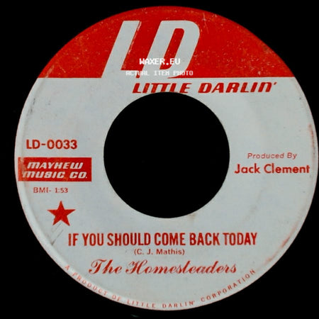 The Homesteaders - If You Should Come Back Today / Homesteadin' side A