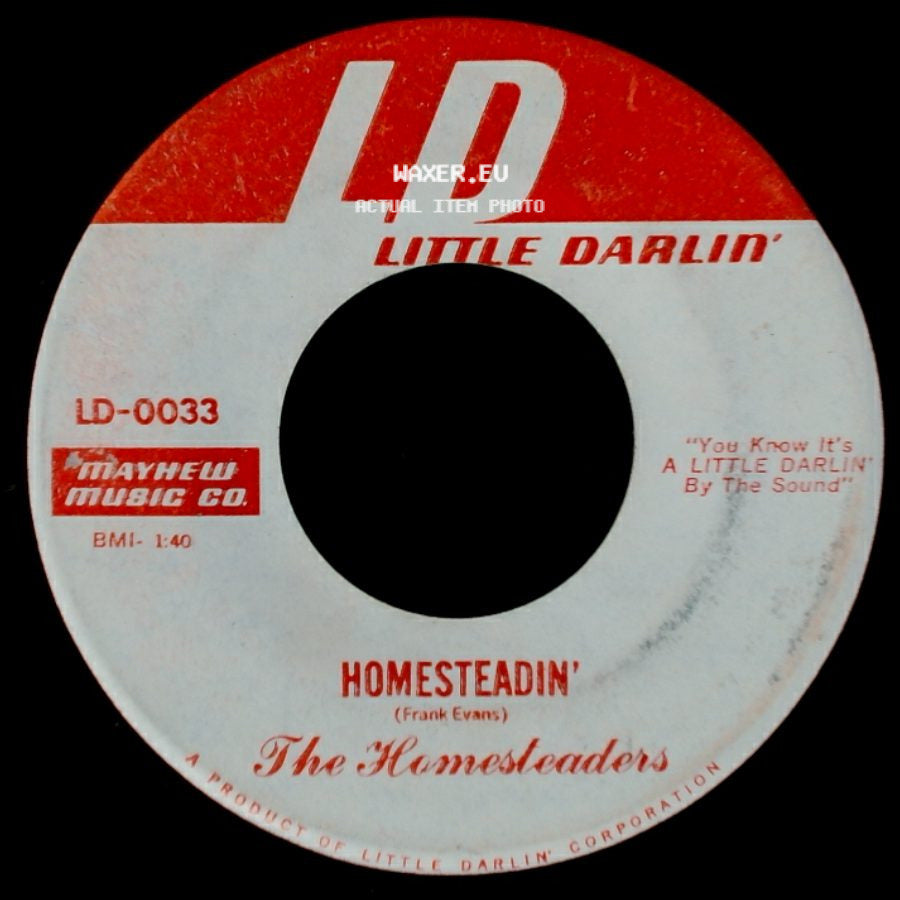 The Homesteaders - If You Should Come Back Today / Homesteadin' side B