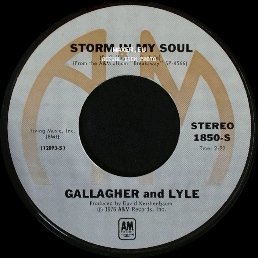 Gallagher And Lyle - Heart On My Sleeve / Storm In My Soul side B
