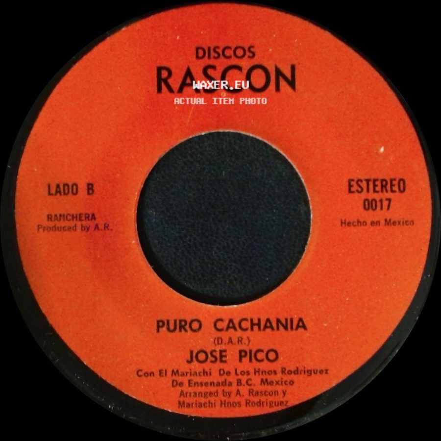 Mariachi De Los Hnos Rodriguez / Jose Pico - Adios Luis M. Moreno / Puro Cachania side B