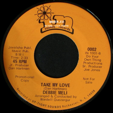 Debbie Meli - The Year Of September / Take My Love side B