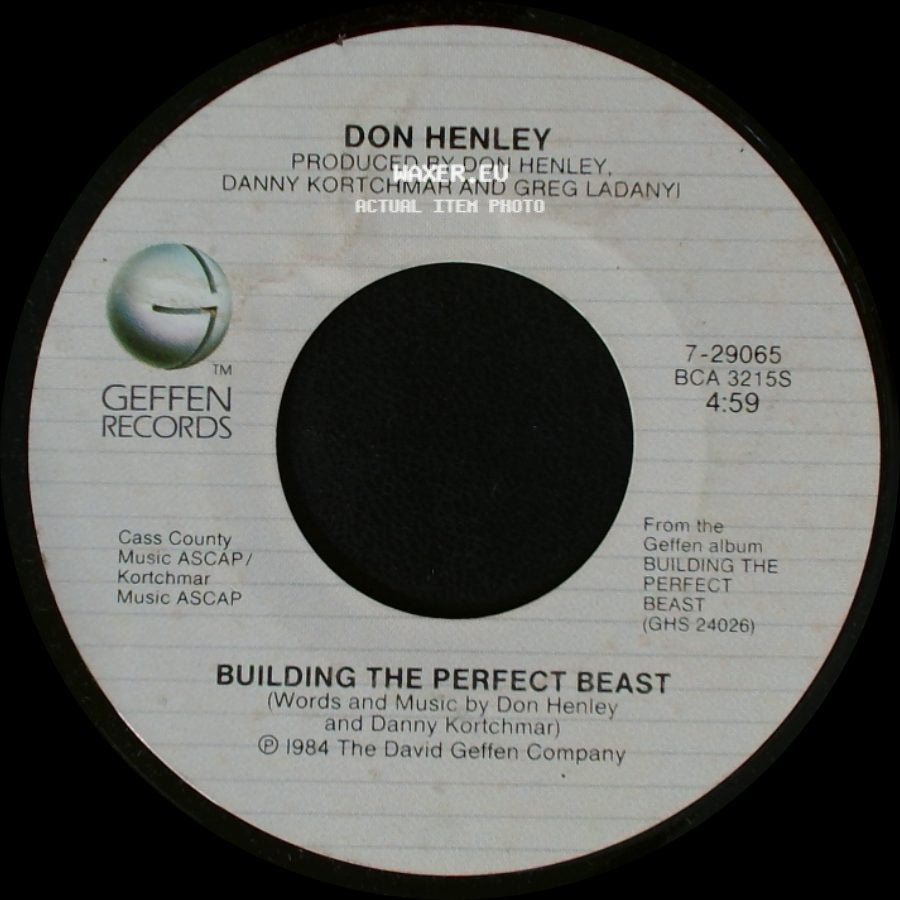 Don Henley - All She Wants To Do Is Dance / Building The Perfect Beast side B