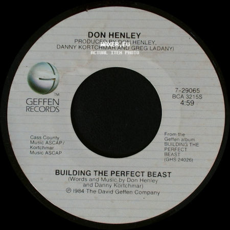 Don Henley - All She Wants To Do Is Dance / Building The Perfect Beast side B