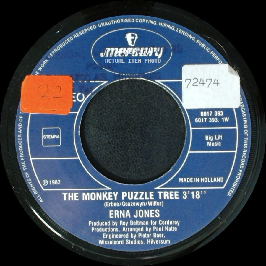 Erna Jones - L.O.V. & E. / The Monkey Puzzle Tree side B