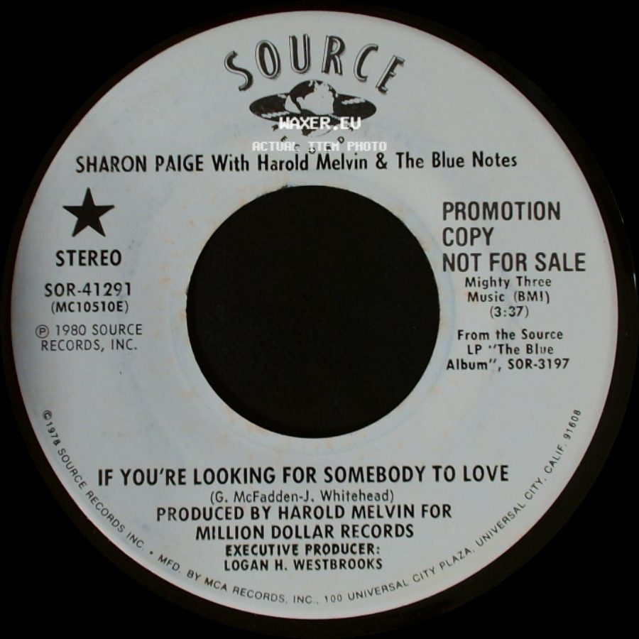 Sharon Paige With Harold Melvin & The Blue Notes - If You're Looking For Somebody To Love / If You're Looking For Somebody To Love side A