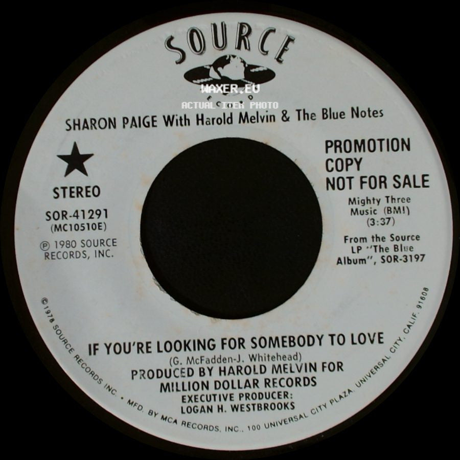 Sharon Paige With Harold Melvin & The Blue Notes - If You're Looking For Somebody To Love / If You're Looking For Somebody To Love side B