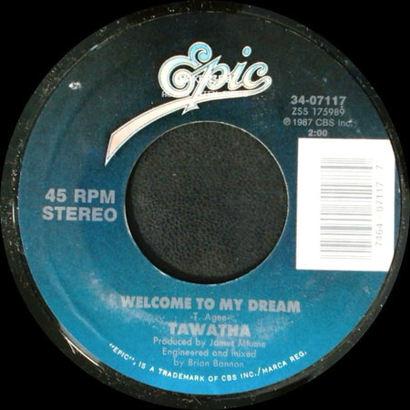 Tawatha - Thigh Ride / Welcome To My Dream side B