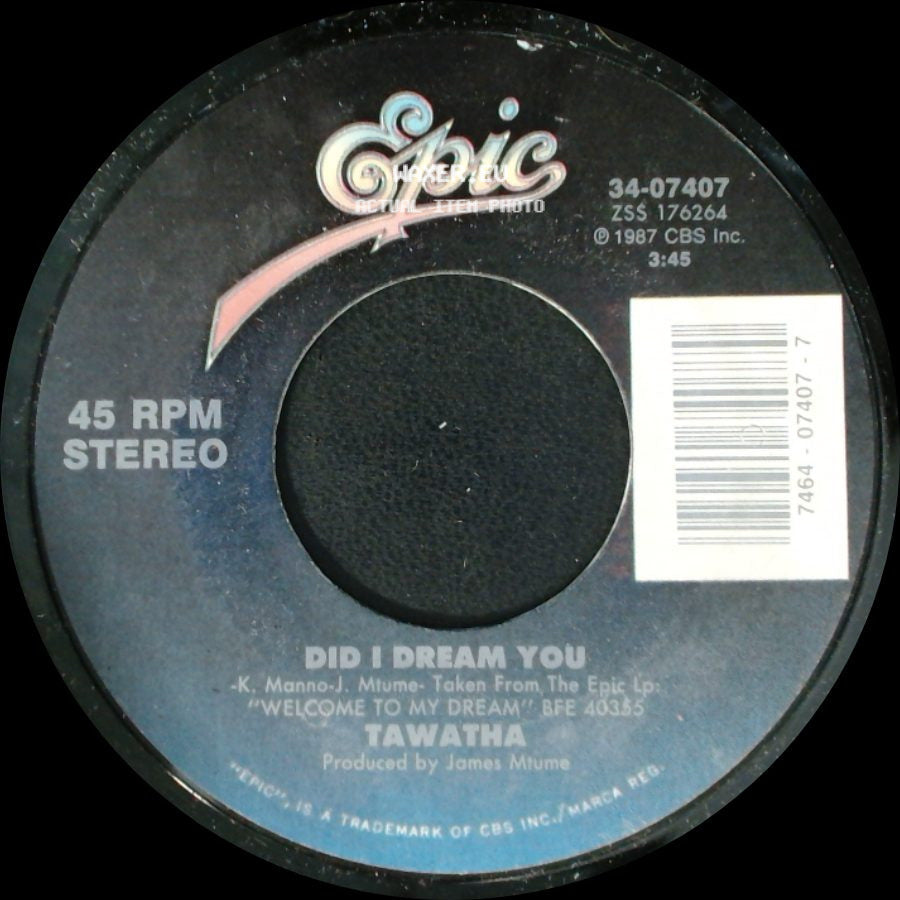 Tawatha - Did I Dream You / Welcome To My Dream (Tears Of Joy) side A