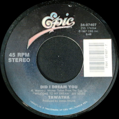 Tawatha - Did I Dream You / Welcome To My Dream (Tears Of Joy) side A