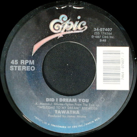 Tawatha - Did I Dream You / Welcome To My Dream (Tears Of Joy) side A