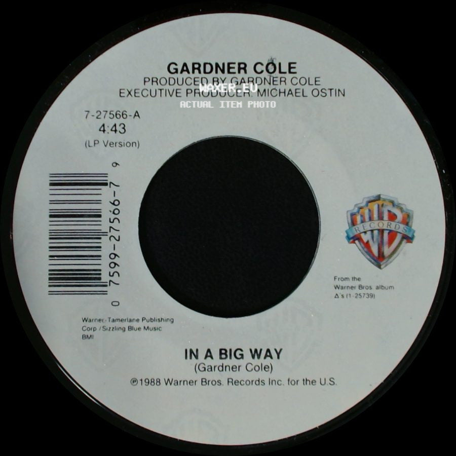 Gardner Cole - All Is Well / In A Big Way side B