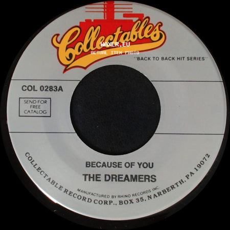 The Neons / The Dreamers - Golden Dreams / Because Of You side B