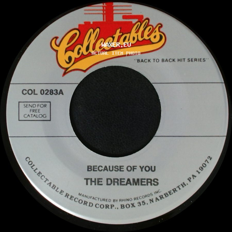 The Neons / The Dreamers - Golden Dreams / Because Of You side B