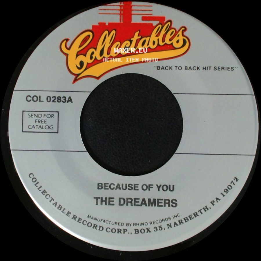 The Neons / The Dreamers - Golden Dreams / Because Of You side B