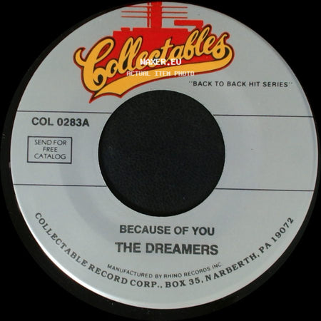 The Neons / The Dreamers - Golden Dreams / Because Of You side B