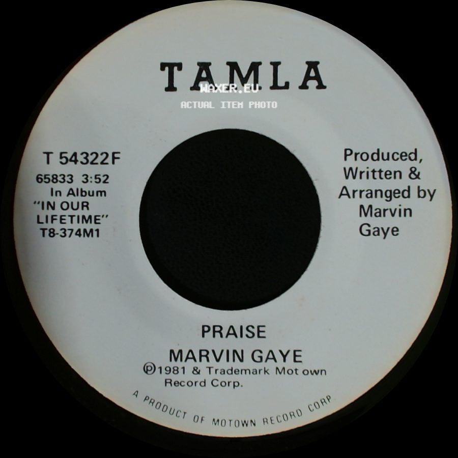 Marvin Gaye - Praise / Praise side B