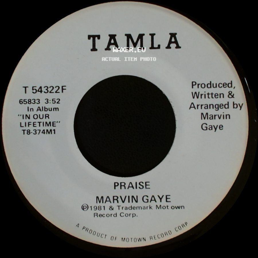 Marvin Gaye - Praise / Praise side B