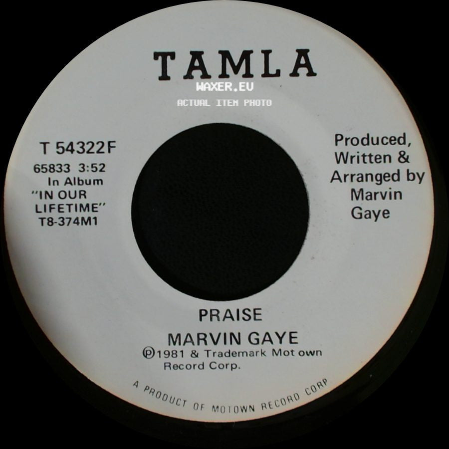 Marvin Gaye - Praise / Praise side B