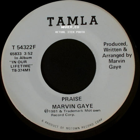 Marvin Gaye - Praise / Praise side B