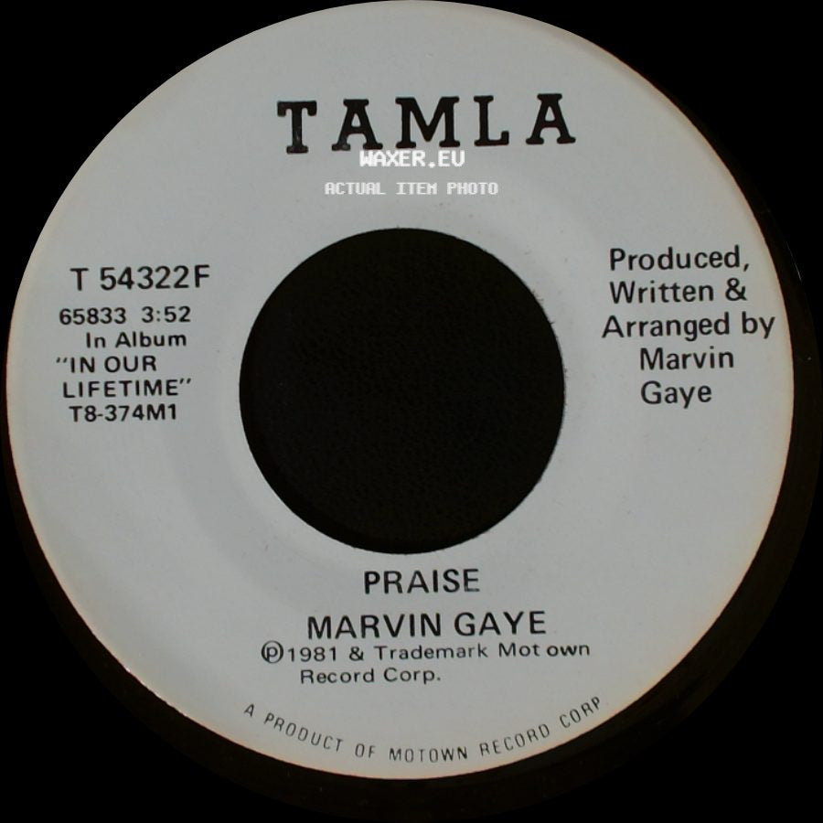 Marvin Gaye - Praise / Praise side B